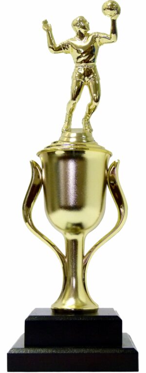 Volleyball Male Trophy 370mm