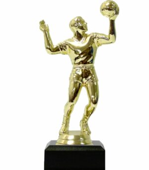 Volleyball Male Trophy 155mm