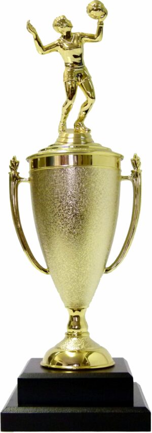 Volleyball Female Trophy 410mm