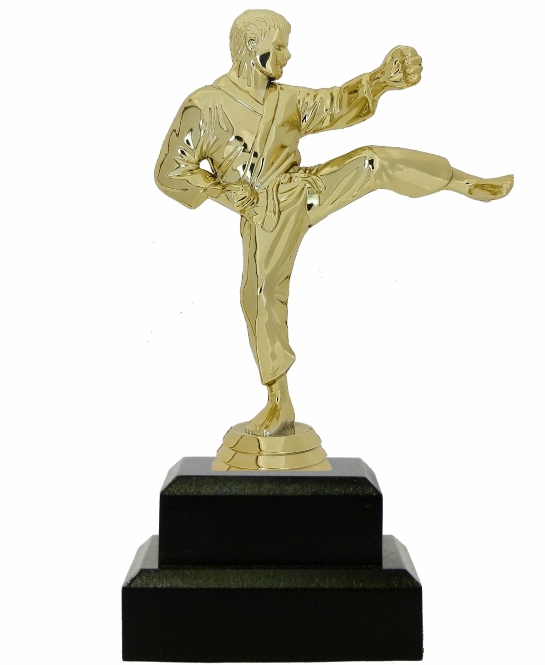Karate Male Trophy 200mm