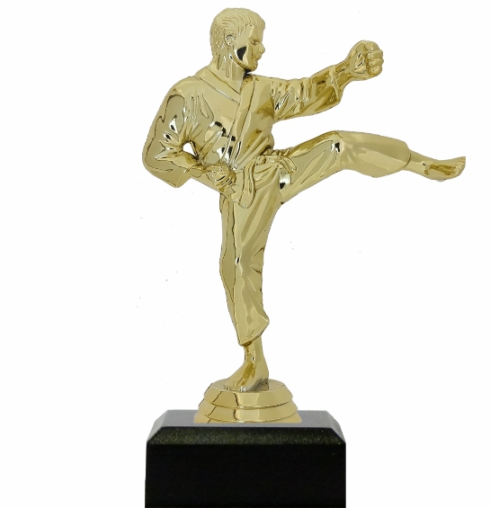 Karate Male Trophy 175mm