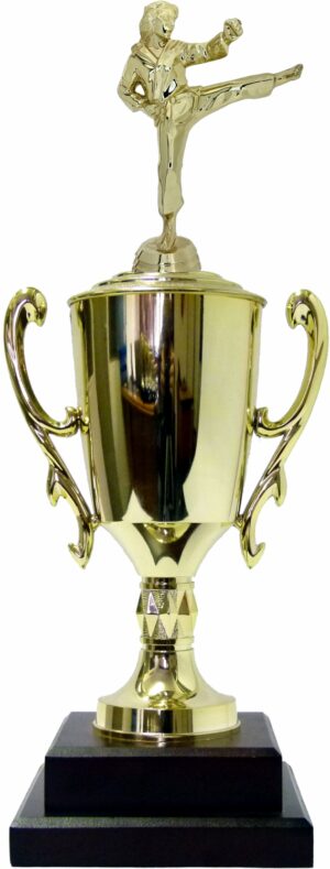 Karate Female Trophy 420mm