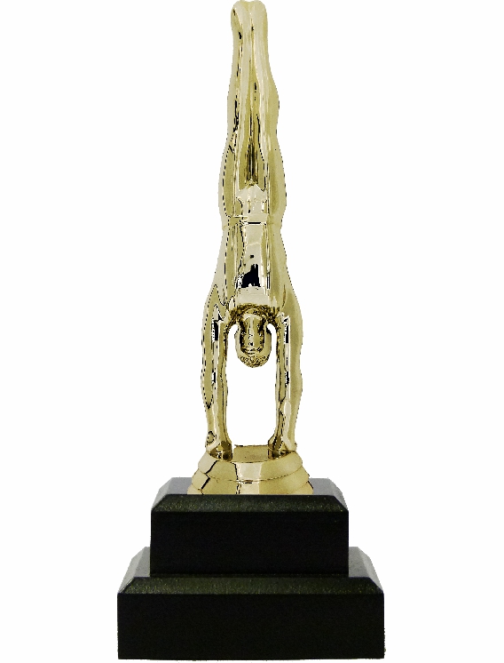 Gymnastics Male Trophy 205mm