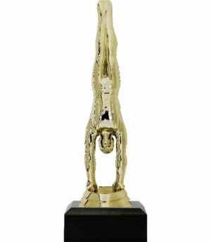 Gymnastics Male Trophy 180mm
