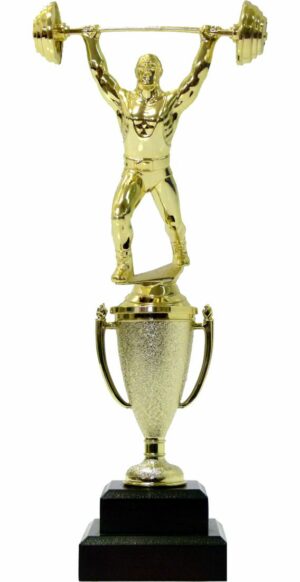 Weight Lifter Male Trophy 290mm