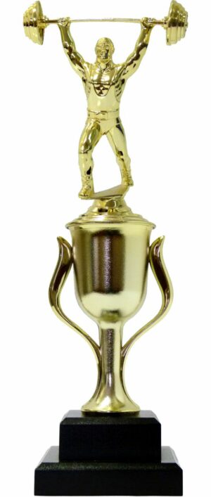 Weight Lifter Male Trophy 350mm