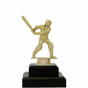 Cricket Trophies