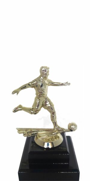 Soccer All Star Male Trophy 165mm