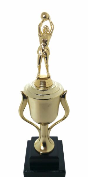Netball Trophy 355mm