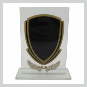 Glass Trophy 165mm 5MM THICK