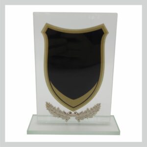 Glass Trophy 165mm 5MM THICK