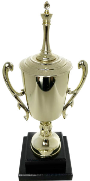 Chess King Trophy 370mm
