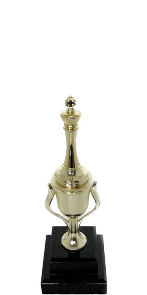 Chess King Trophy 230mm