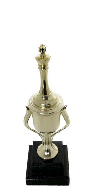 Chess King Trophy 250mm