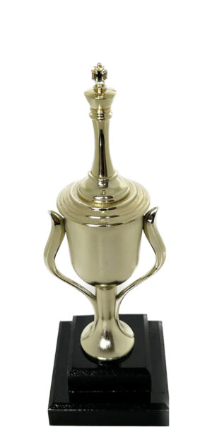 Chess King Trophy 290mm