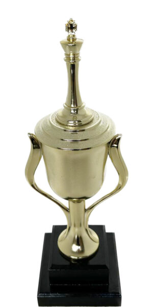 Chess King Trophy 330mm