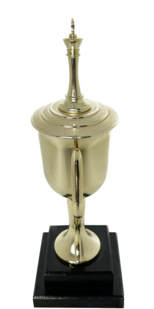 Chess King Trophy 330mm