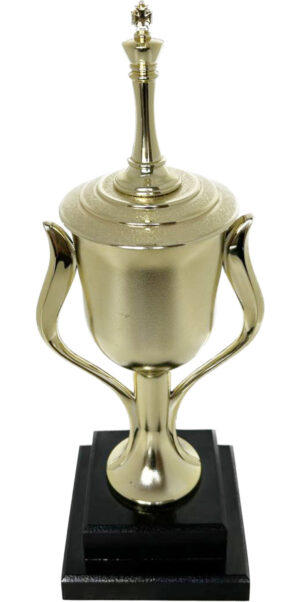 Chess King Trophy 370mm