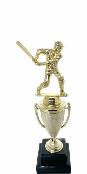 Cricket Batsman Trophy 250mm