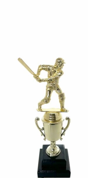 Cricket Batsman Trophy 250mm