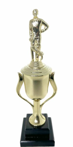 Cricket Batsman Standing Trophy 350mm