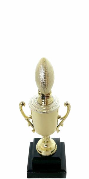Rugby Ball Trophy 265mm