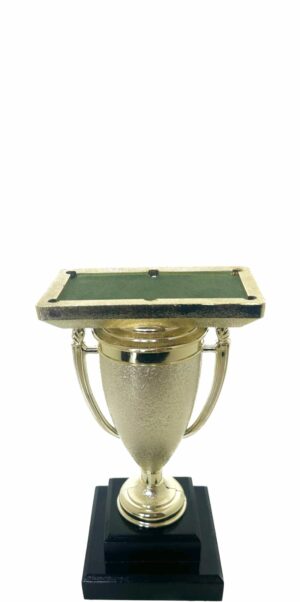 Pool Table Trophy 180mm