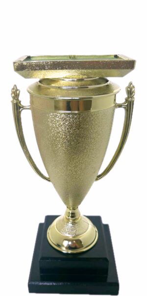 Pool Table Trophy 295mm