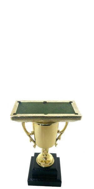 Pool Table Trophy 155mm