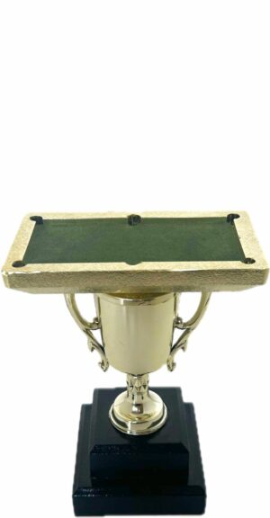 Pool Table Trophy 215mm