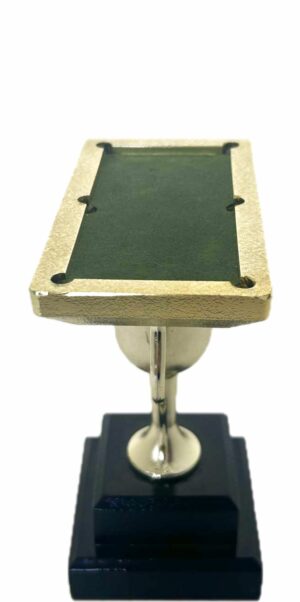 Pool Table Trophy 255mm