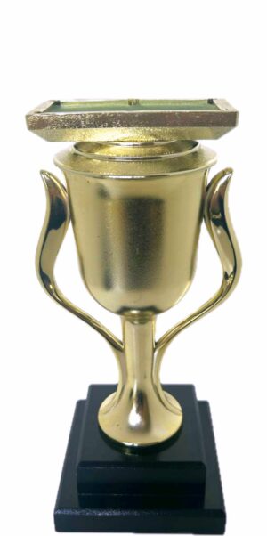 Pool Table Trophy 295mm
