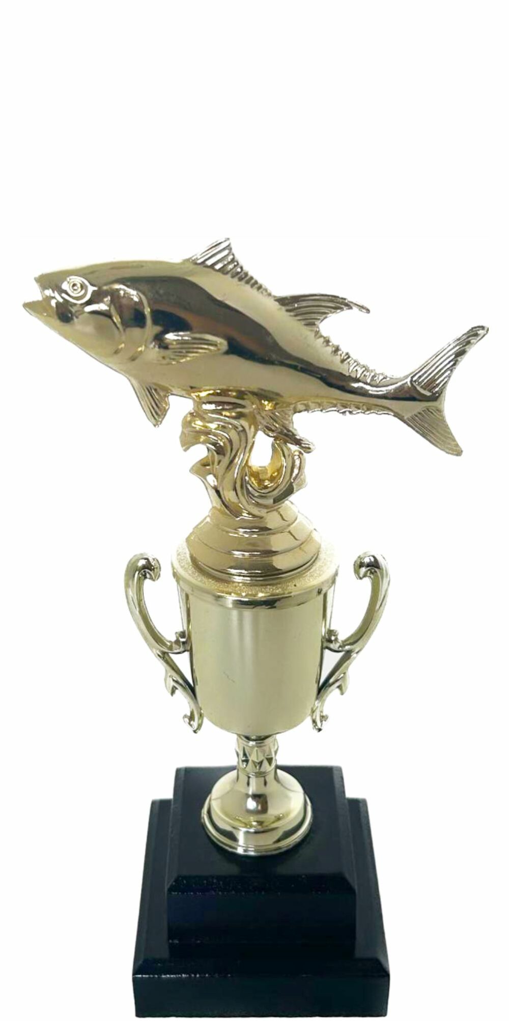 Fish Trophy 250mm - Trophy Shop Online