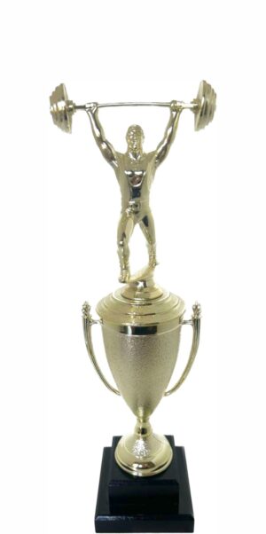 Weight Lifter Male Trophy 390mm