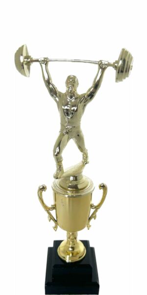 Weight Lifter Male Trophy 310mm