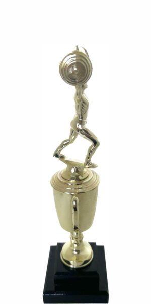 Weight Lifter Male Trophy 350mm