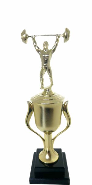 Weight Lifter Male Trophy 430mm