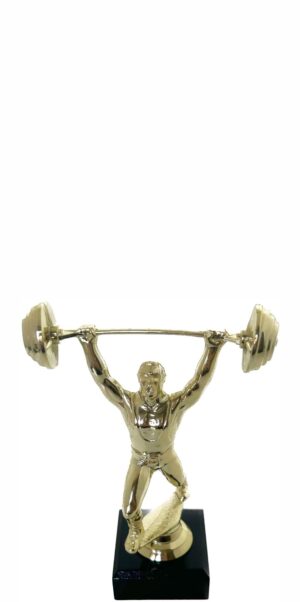 Weight Lifter Male Trophy 175mm