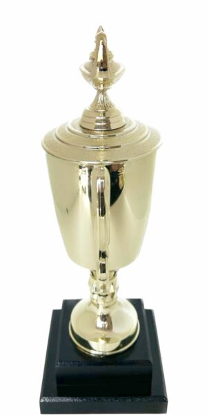 Lamp Of Knowledge Lamp Trophy 315mm