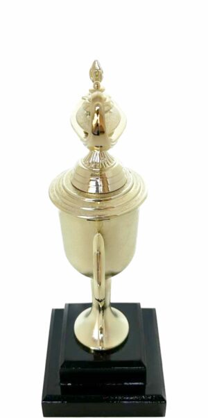 Lamp Of Knowledge Lamp Trophy 275mm