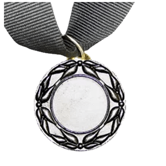 MED5 | Silver Medals 38mm X 25mm Recess