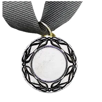 MED5 | Silver Medals 38mm X 25mm Recess