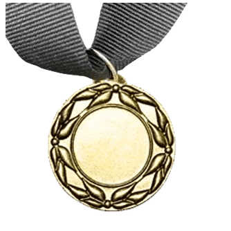 MED5 | Gold Medals 38mm X 25mm Recess