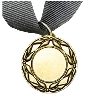 MED5 | Gold Medals 38mm X 25mm Recess