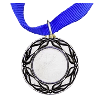 MED5 | Silver Medals 38mm X 25mm Recess