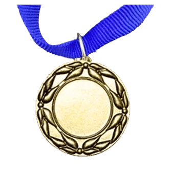 MED5 | Gold Medals 38mm X 25mm Recess