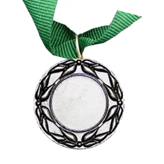 MED5 | Silver Medals 38mm X 25mm Recess