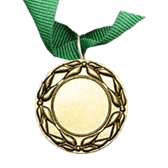 MED5 | Gold Medals 38mm X 25mm Recess