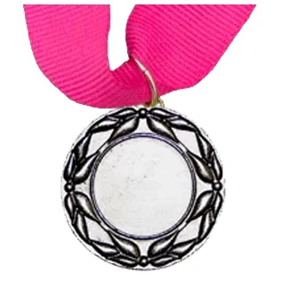 MED5 | Silver Medals 38mm X 25mm Recess