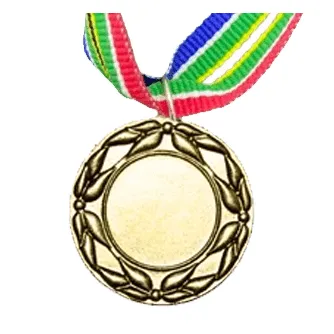 MED5 | Gold Medals 38mm X 25mm Recess